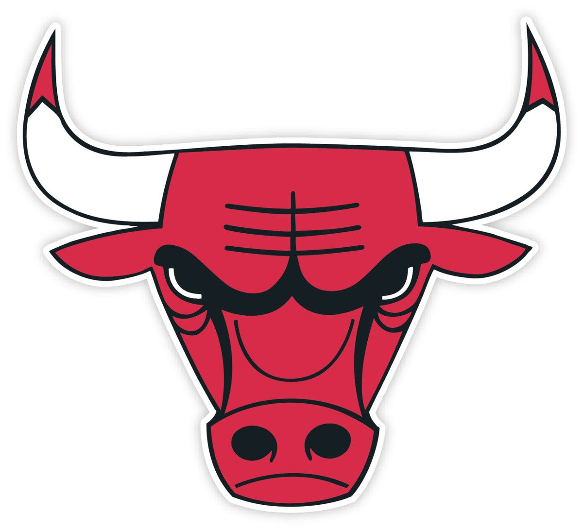 CHICAGO BULLS