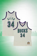Milwaukee Bucks #34 Ray Allen Hardwood Classics Jersey