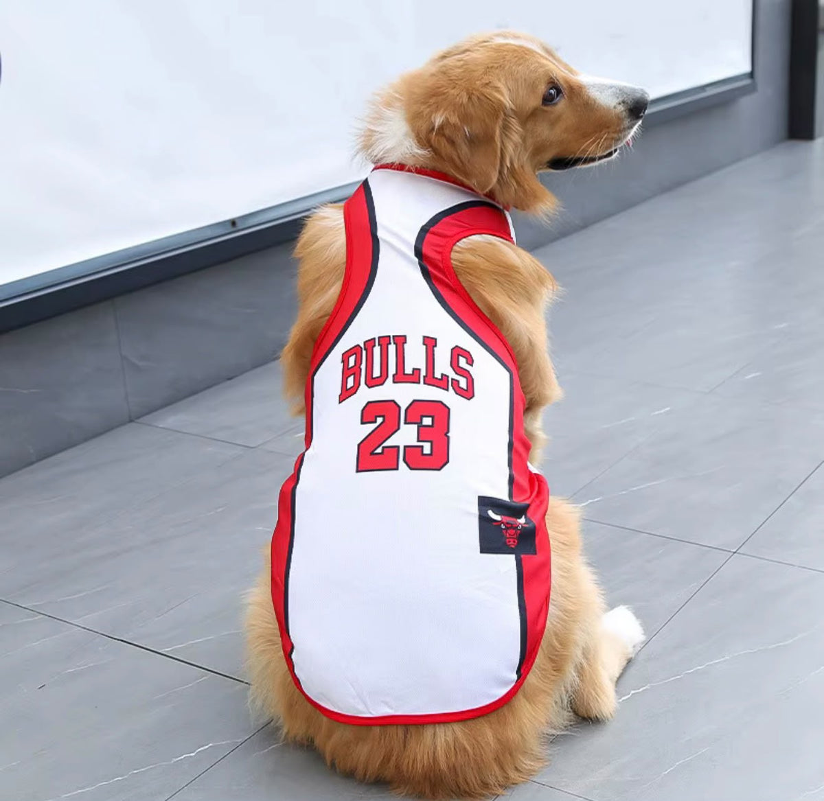 DOG'S JERSEYS CHICAGO BULLS MICHAEL JORDAN #24 RED & WHITE PET APPAREL