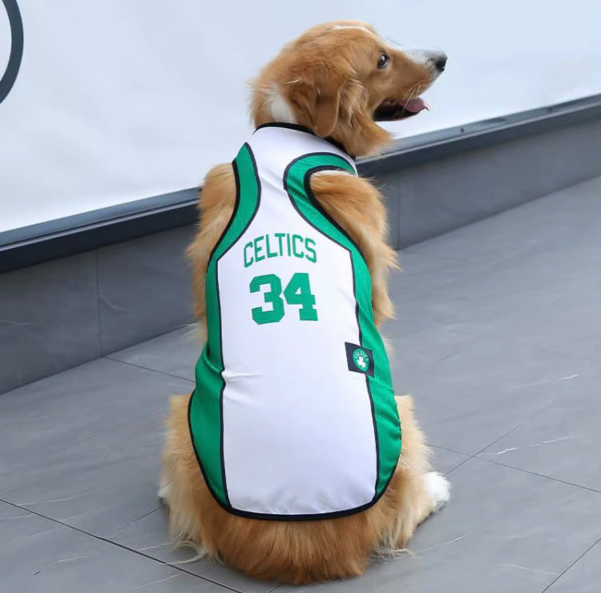 DOG'S JERSEYS BOSTON CELTICS #34 GREEN & WHITE PET APPAREL