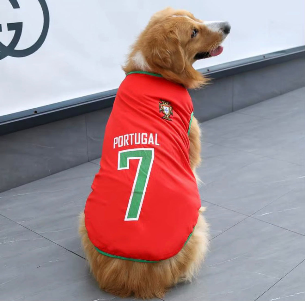 DOG'S JERSEYS PORTUGAL CRISTIANO RONALDO #7 RED & GREEN PET APPAREL